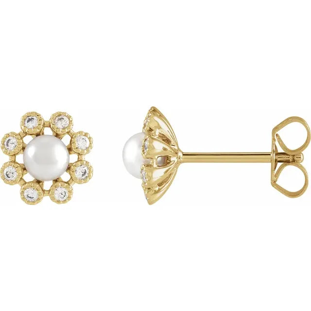 14K Rose Gold Cultured White Freshwater Pearl & 1/8 CTW Natural Diamond Earrings