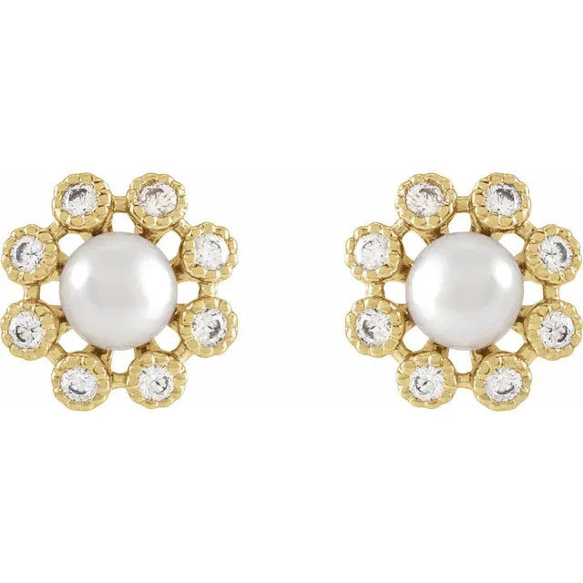 14K Yellow Gold Cultured White Freshwater Pearl & 1/8 CTW Natural Diamond Earrings